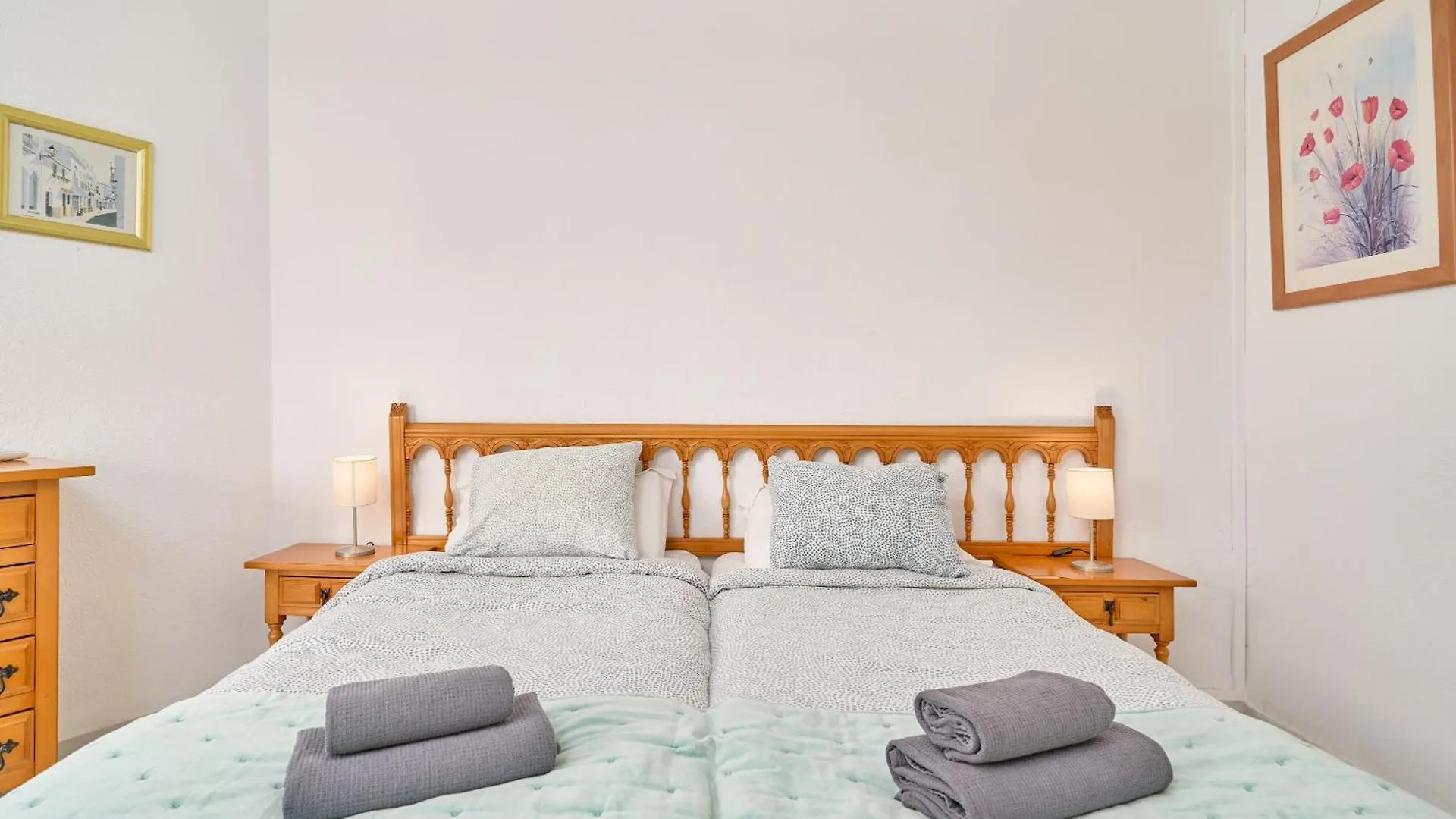 Large One Bed Apt Nerja